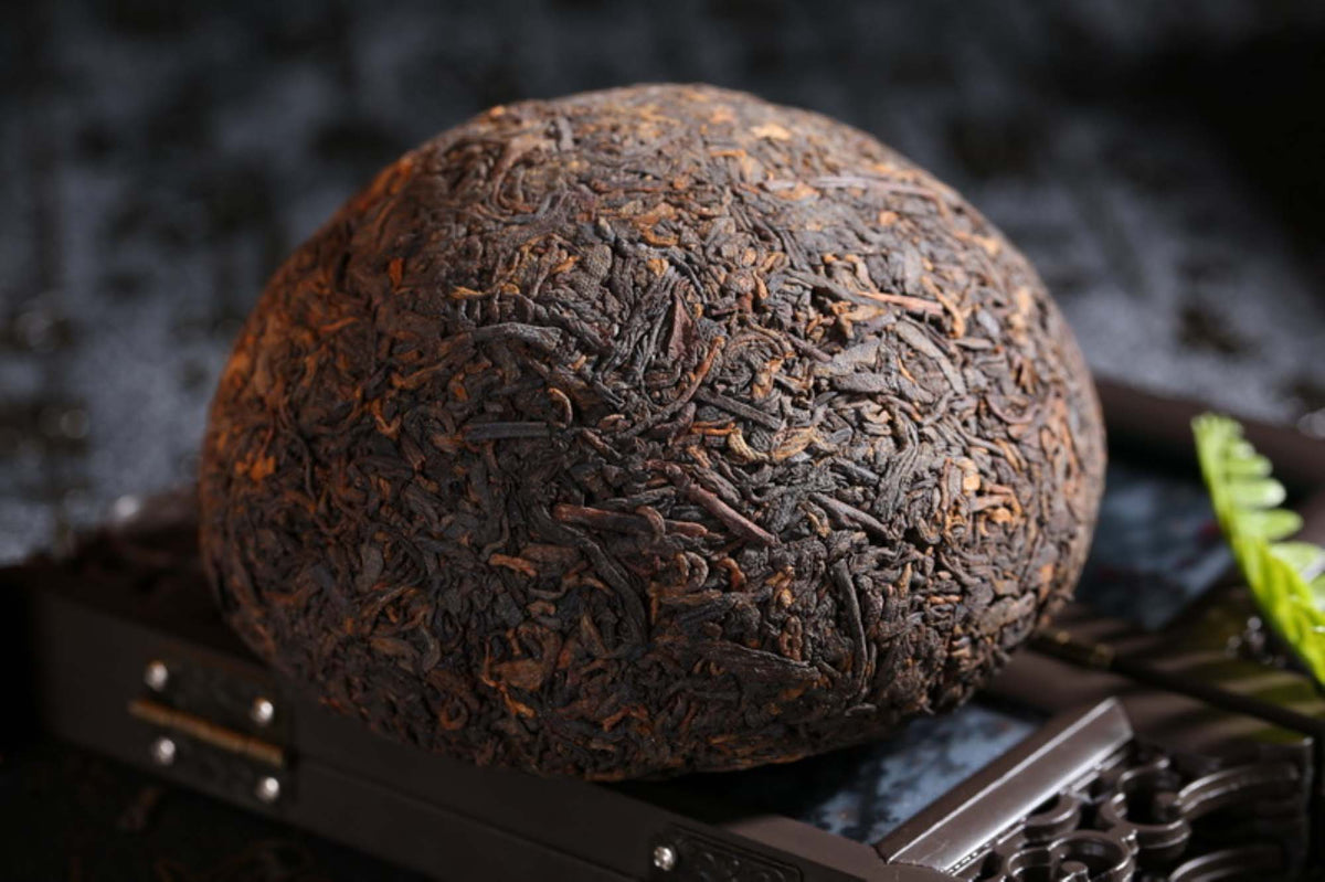 15 Ans Puerh Nid Brut | Yunnan Tuocha / Zouji